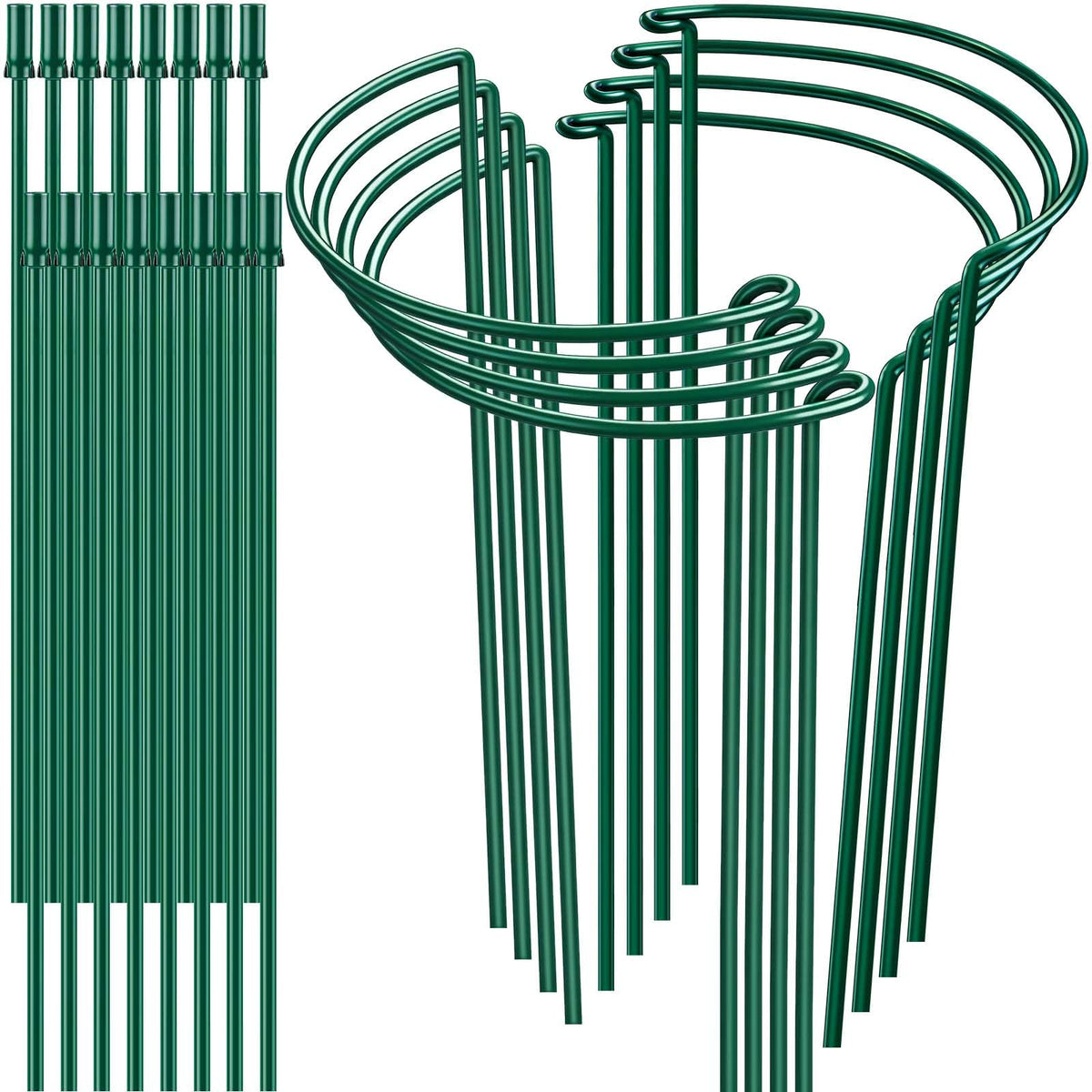 HiGift half-round plant stake 16in securing stems for upright growth