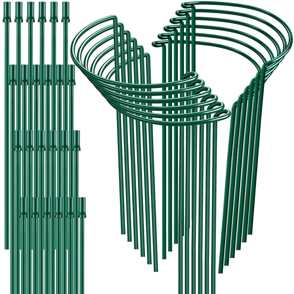 HiGift half-round stake 16in supports peony stems upright in beds.
