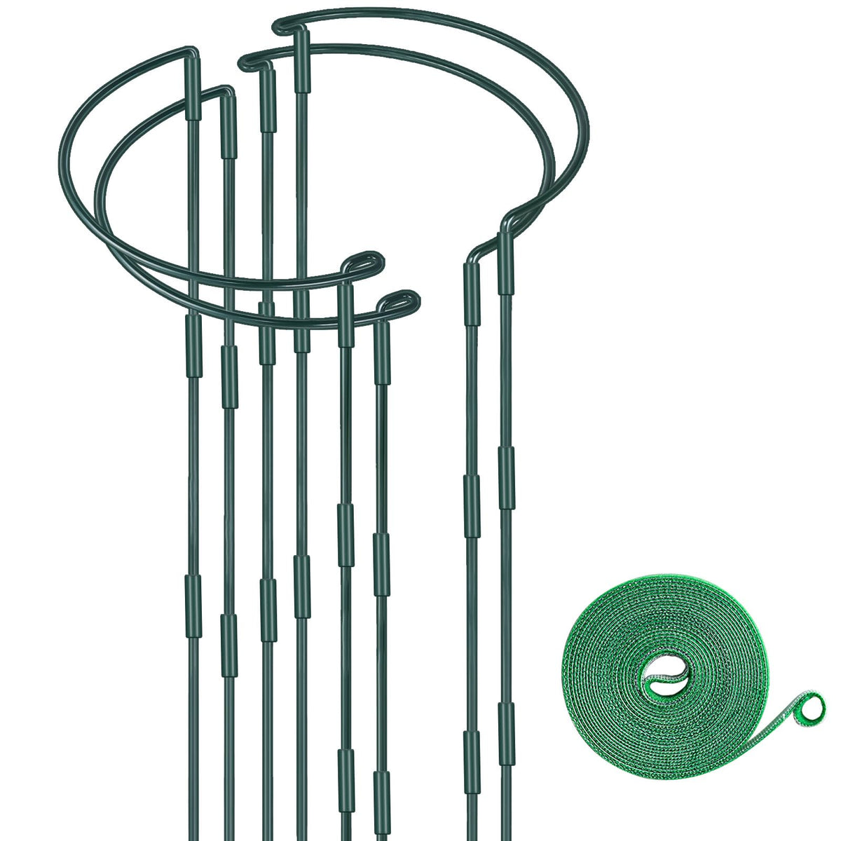 HiGift half-round plant support 12in around a small plant for upright stabilization