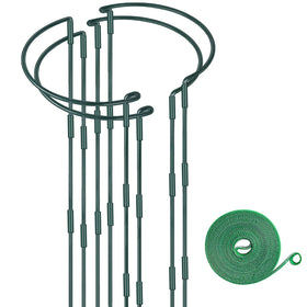 HiGift half-round plant support 12in around a small plant for upright stabilization