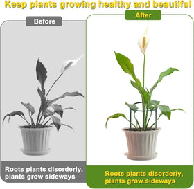 HiGift half-round plant support 36in stabilizing tall stems in a garden