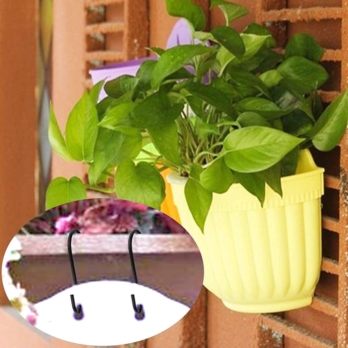 HiGift indoor-outdoor S-hook versatile for lights and plants.