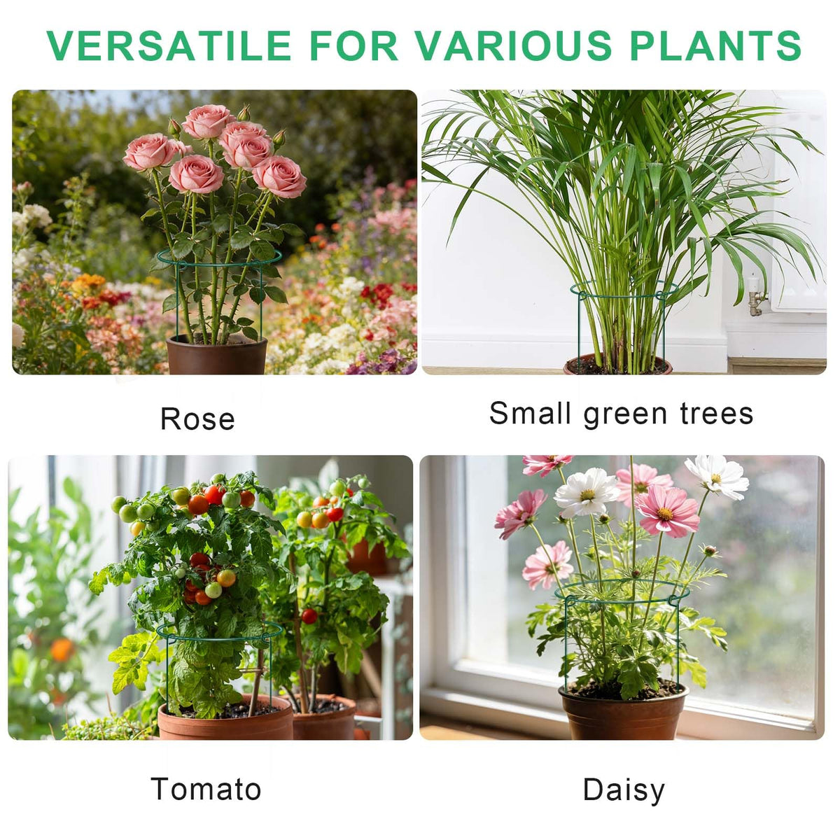 HiGift Peony Cages for indoor and outdoor use with potted plants.