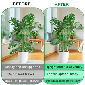 HiGift Peony Cages rustproof powder-coated surface resists outdoor weather.
