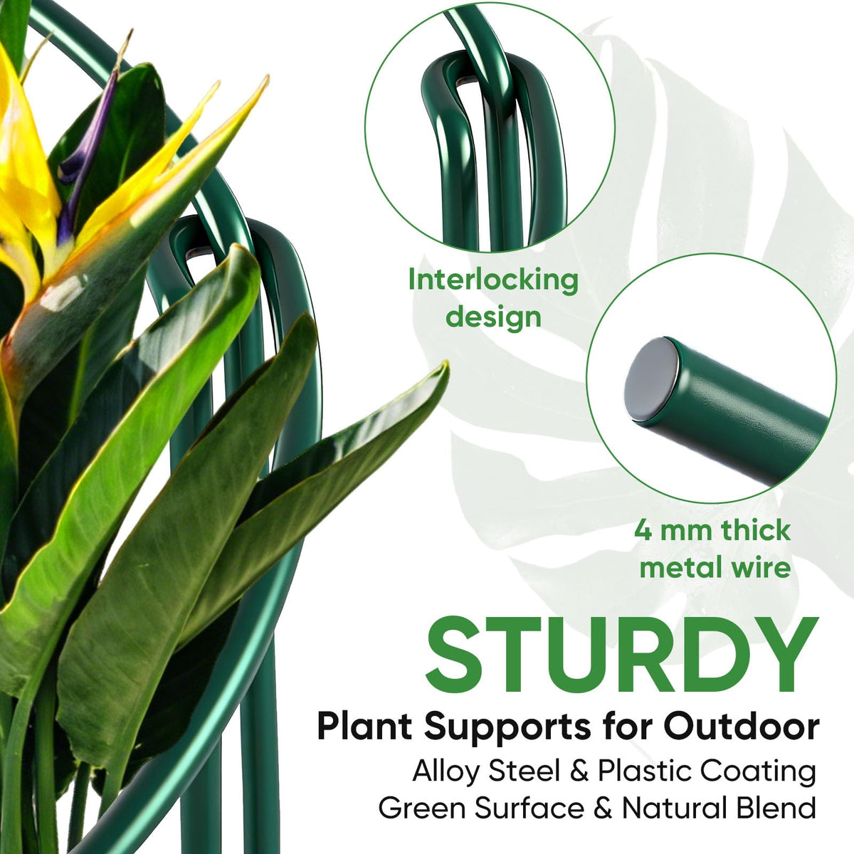 HiGift powder-coated finish resists weather for durable plant support