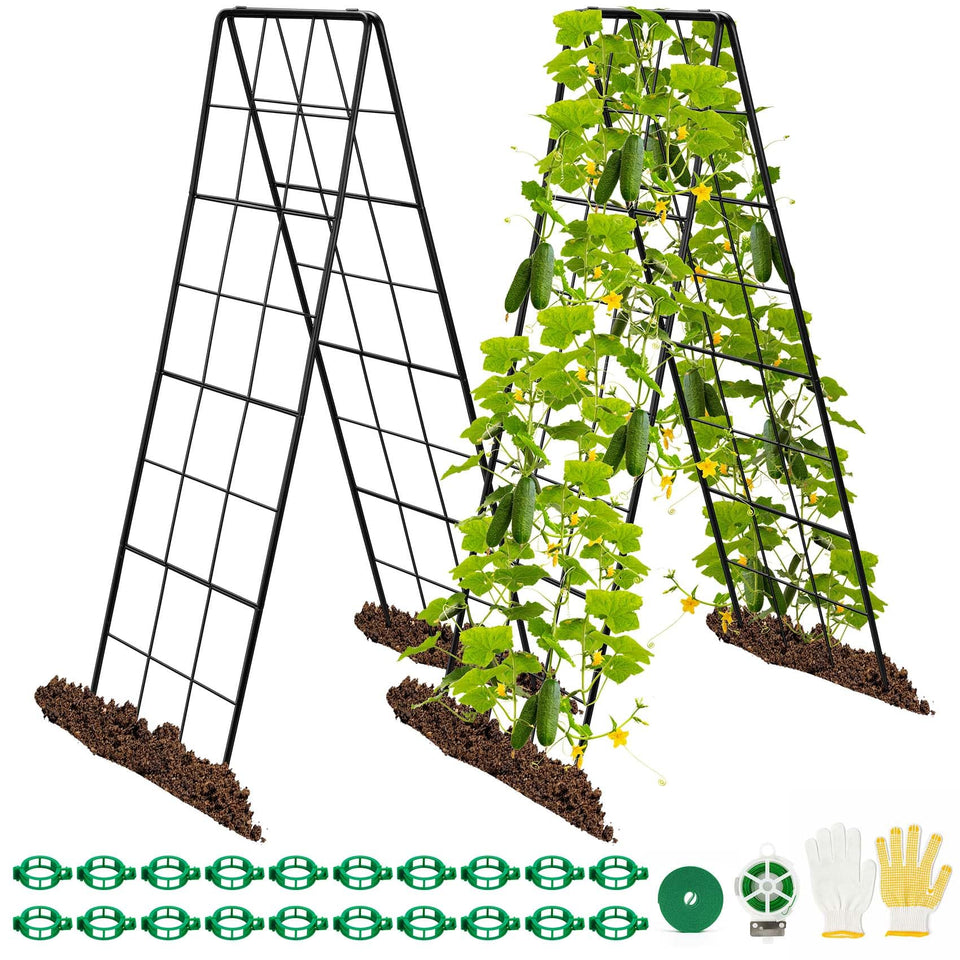 HIHADUUM 2-Pack 50-Inch tall A-frame trellis providing vertical growth for cucumbers.