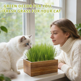 HiHOYA bonus cat gifts included for a fun waiting-to-grow phase.