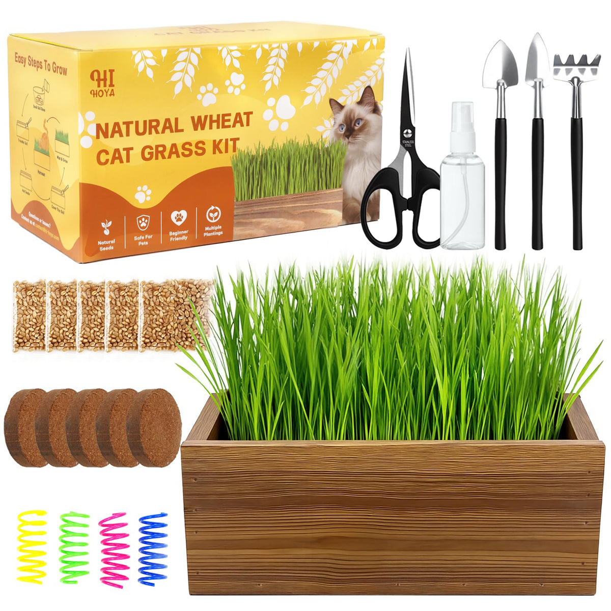 HiHOYA cat grass kit in a wooden planter for easy indoor growing.