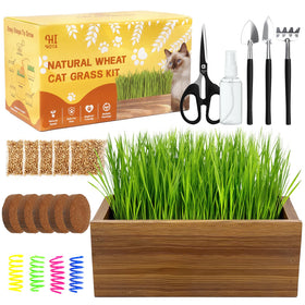 HiHOYA cat grass kit in a wooden planter for easy indoor growing.