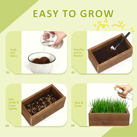 HiHOYA cat grass scissors for neat harvest and trimming.