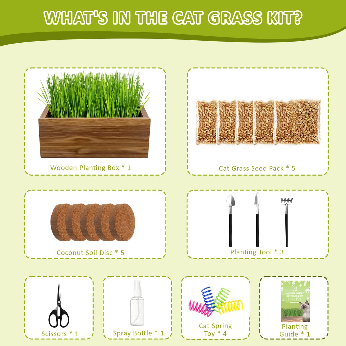 HiHOYA coconut coir soil discs for quick sprouts and tidy setup.