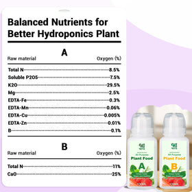 HiHOYA flower seed varieties showcase color options for indoor gardens.