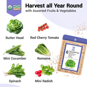HiHOYA grow baskets supporting healthy root growth in hydroponics