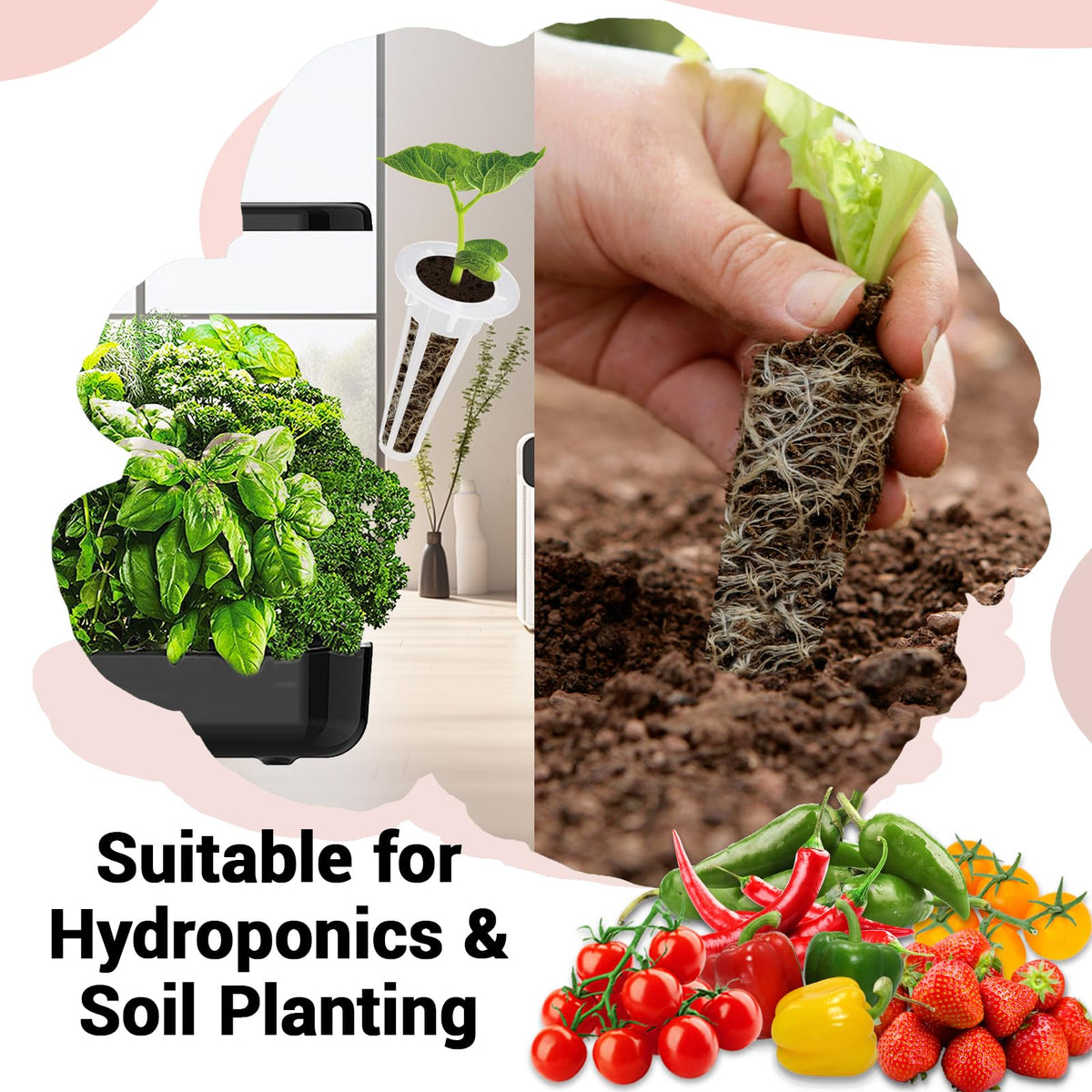 HiHOYA grow domes help regulate humidity for even sprouting.
