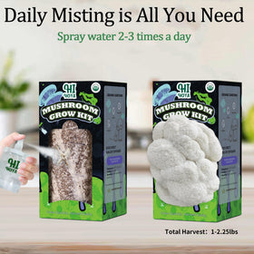 HiHOYA grow guide walks you through every step of cultivation.