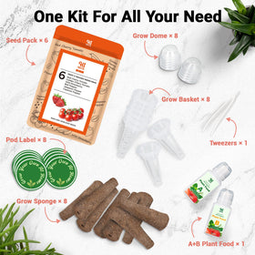 HiHOYA grow sponges illustrate balanced moisture for healthy seed germination.