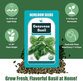 HiHOYA grow sponges provide balanced oxygen and water for germination.