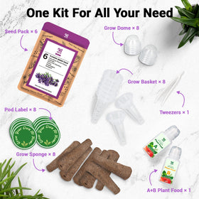 HiHOYA grow sponges prepared for efficient hydroponic germination.
