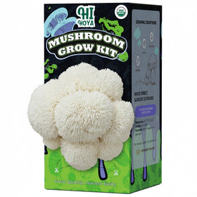 HiHOYA Lion's Mane log ready to cultivate delicious mushrooms at home.