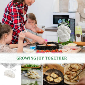 HiHOYA organic mushroom kit box arrives ready to start your indoor grow.
