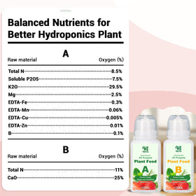 HiHOYA A and B plant food supports early seedling growth.