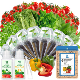 HiHOYA seed pod kit inside a hydroponic system for easy indoor gardening