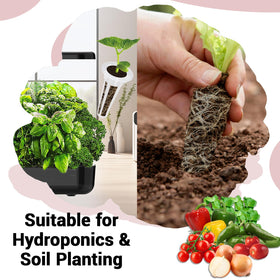 HiHOYA seed varieties include tomato, pepper, onion, cilantro for diverse harvests.