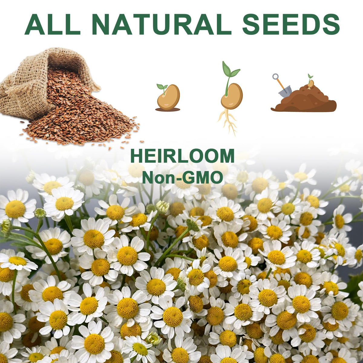 HiHOYA tweezers and A&amp;B plant food support precise handling and feeding.