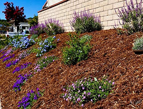 Hillside Planter no-retaining-walls-alternative provides affordable slope stabilization