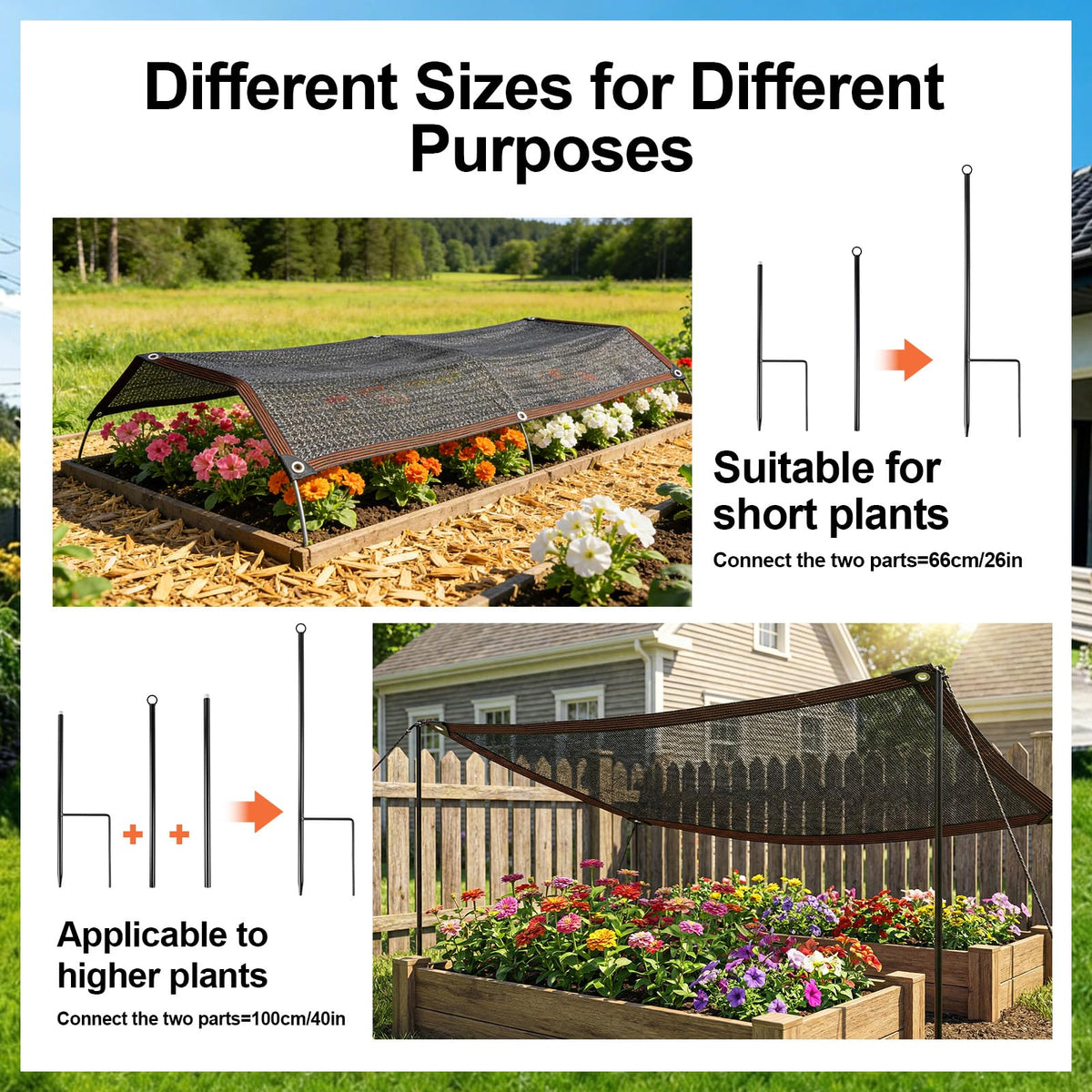 Himake shade cloth over raised bed protects young plants.
