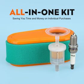 Hipa 795066 kit contents include air filter, fuel filter, spark plug for quick maintenance