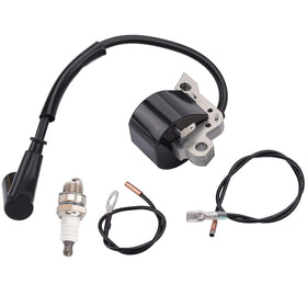 Hipa MS290 ignition coil closeup shows a rugged module for durable starts.