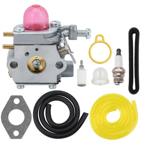 Hipa WT-973 carburetor package for easy installation and quick start