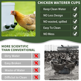 Hipykat chicken-coop-accessories ensure clean water with less mess.