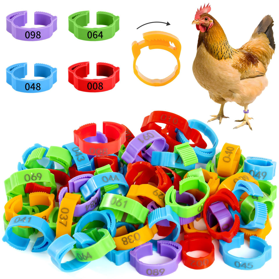 Hipykat chicken leg bands collection in five colors for easy labeling