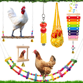 Hipykat chicken swing in coop promotes activity and enrichment