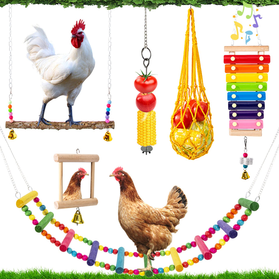 Hipykat chicken swing in coop promotes activity and enrichment