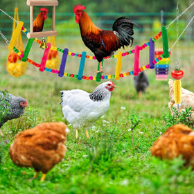 Hipykat vegetable skewers keep greens accessible and tidy