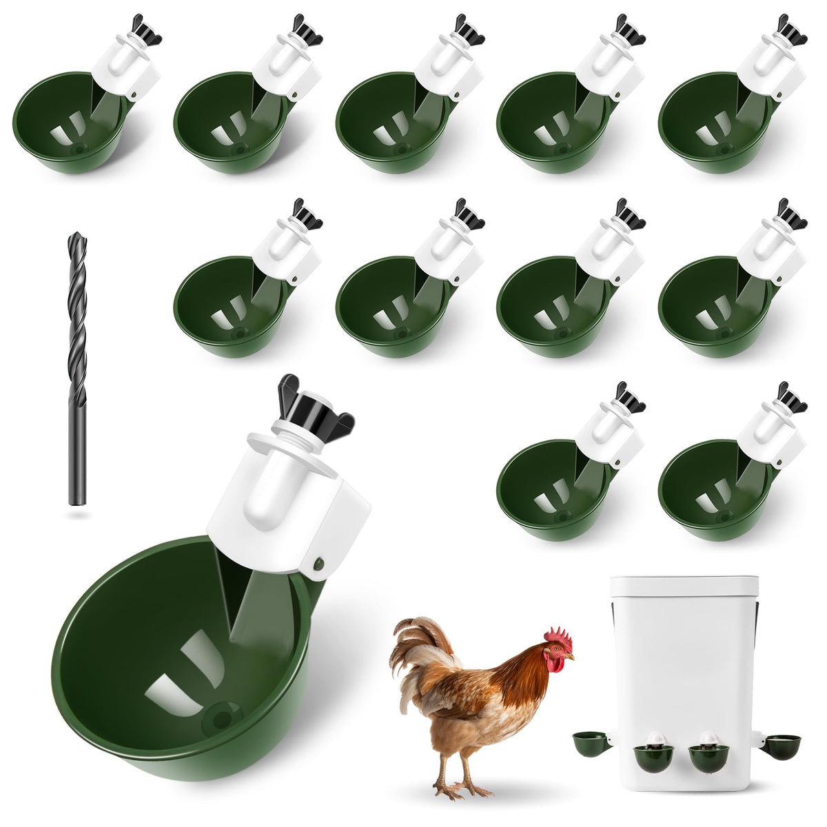 Hipykat chicken watercups in action keeps water clean and accessible.