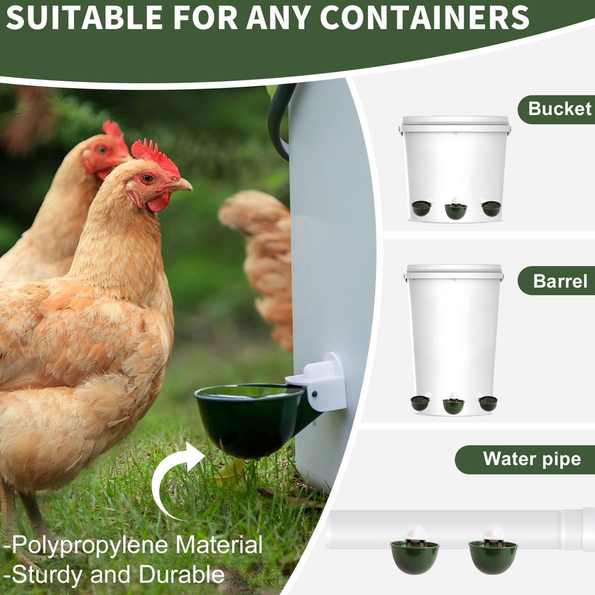 Hipykat gravity-poultry-water-system keeps water available for busy coops.
