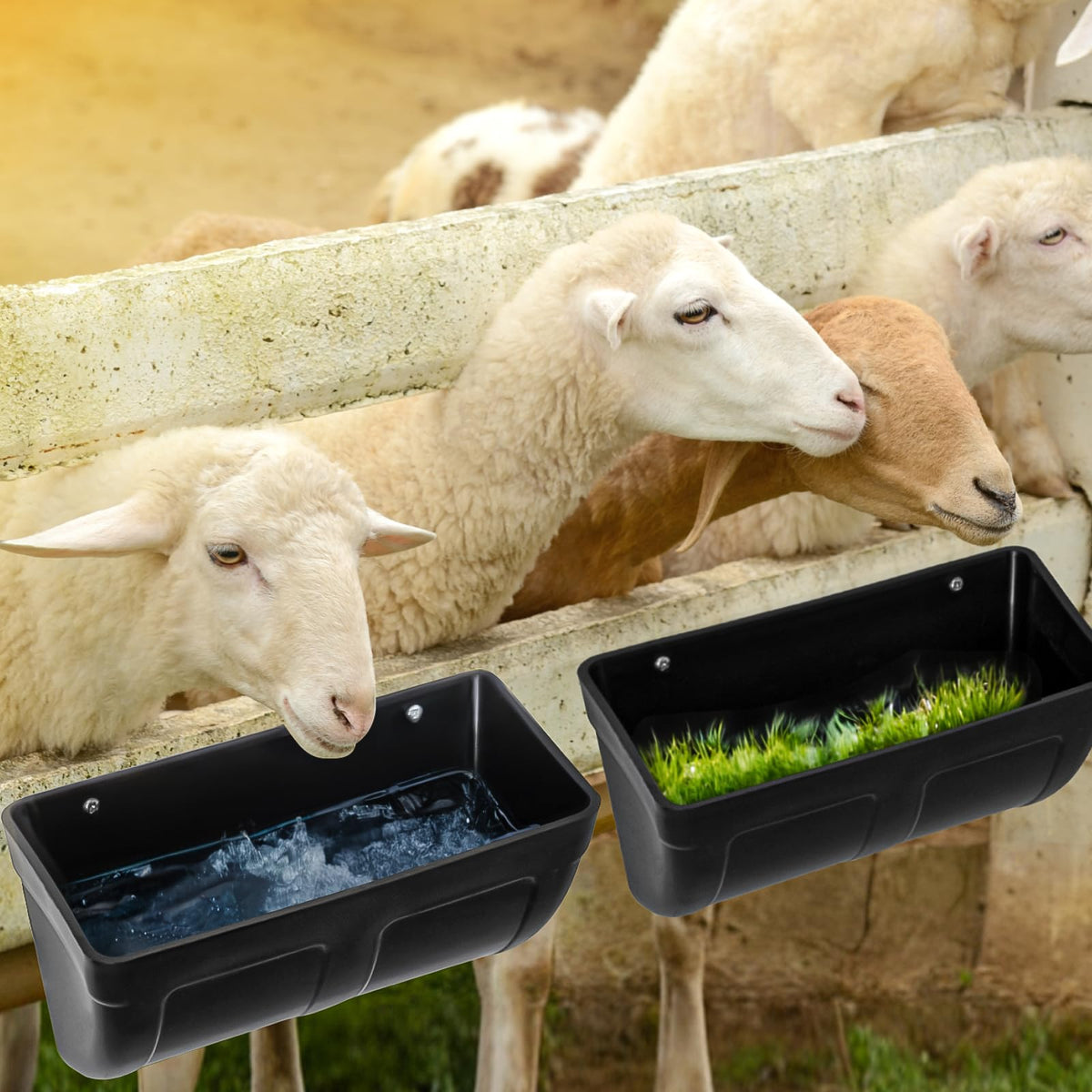 Hipykat rust-resistant clips protect feeding setup in humid environments.