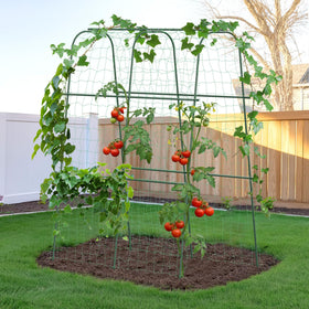 HIRALIY cucumber trellis 66-long arch supports climbing vines for steady garden growth.