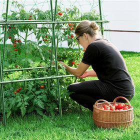 HIRALIY cucumber trellis included gardening gloves for quick setup.
