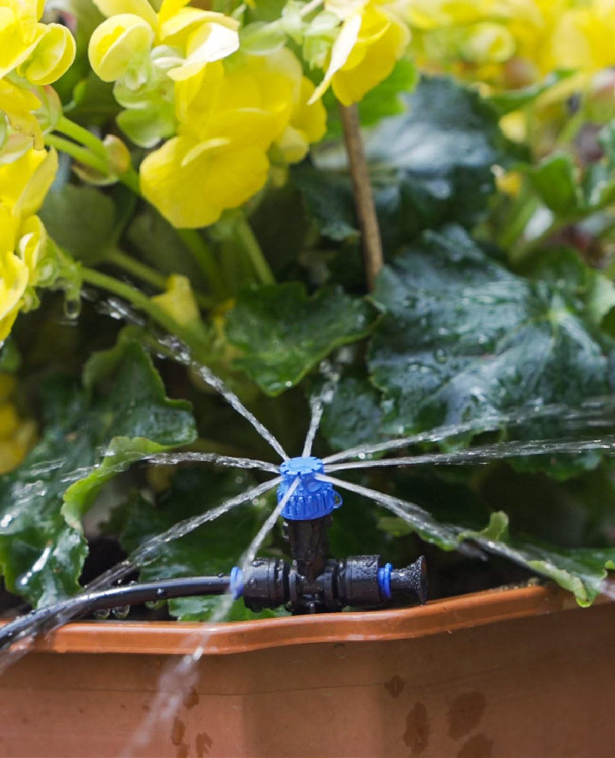 HIRALIY detachable sprinkler heads simplify cleaning and maintenance tasks
