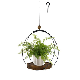 Hismocal hanging planter with circle base for a balanced indoor plant display.