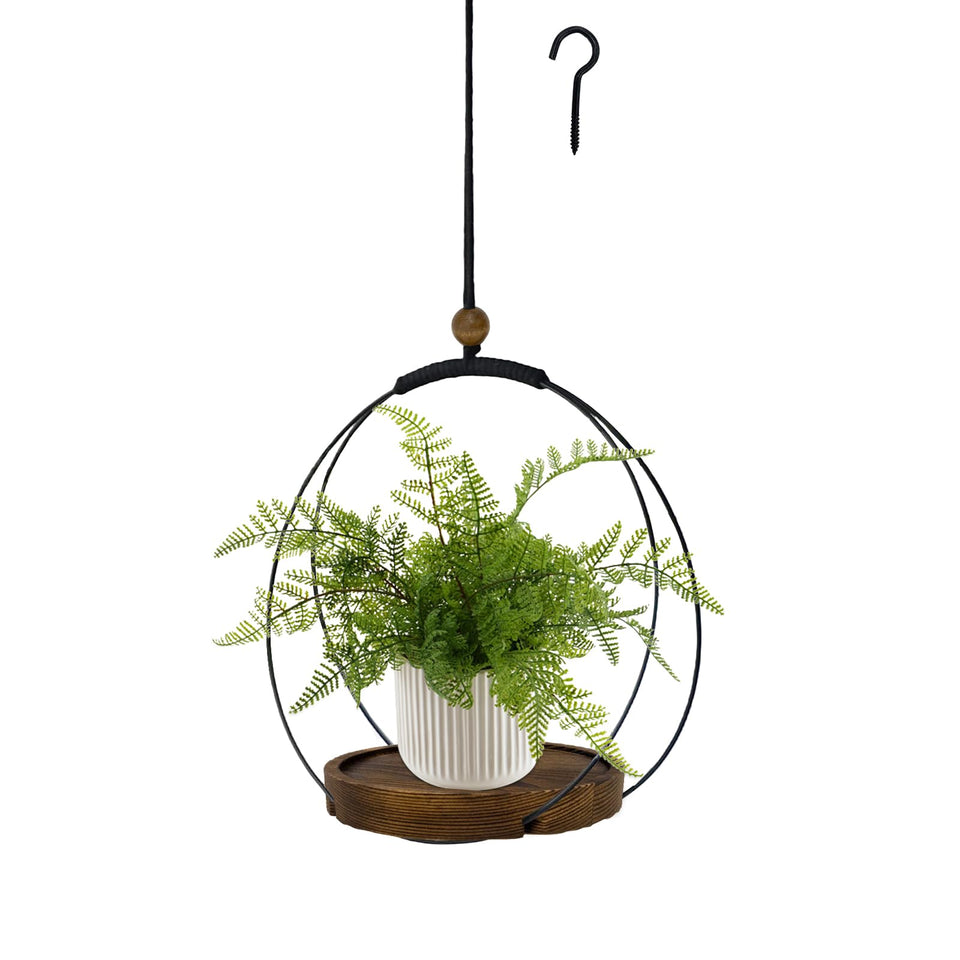 Hismocal hanging planter with circle base for a balanced indoor plant display.