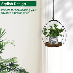 Hismocal indoor plant display setup enhances cozy room corners.