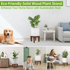 Hismocal large plant stand shows quick assembly for a clean setup.