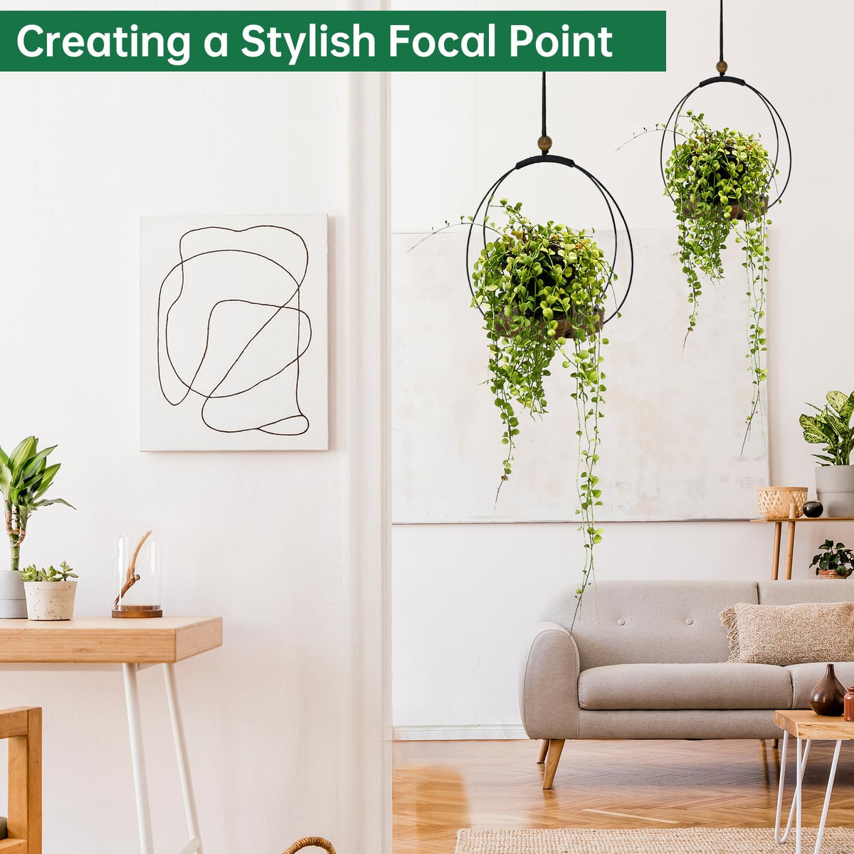 Hismocal wall-mount display ready for easy wall decor and plant views.