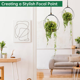 Hismocal wall-mount display ready for easy wall decor and plant views.